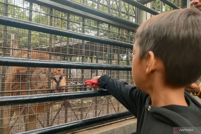 60 ribuan wisatawan kunjungi Garut selama libur Natal