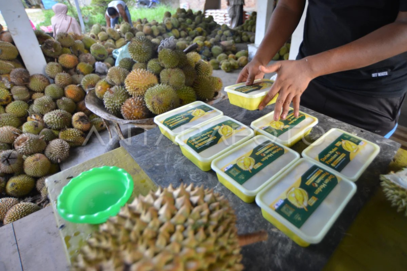 Kuliner durian khas Kayutanam