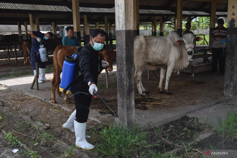 Pemkab Tasikmalaya sterilisasi pasar hewan