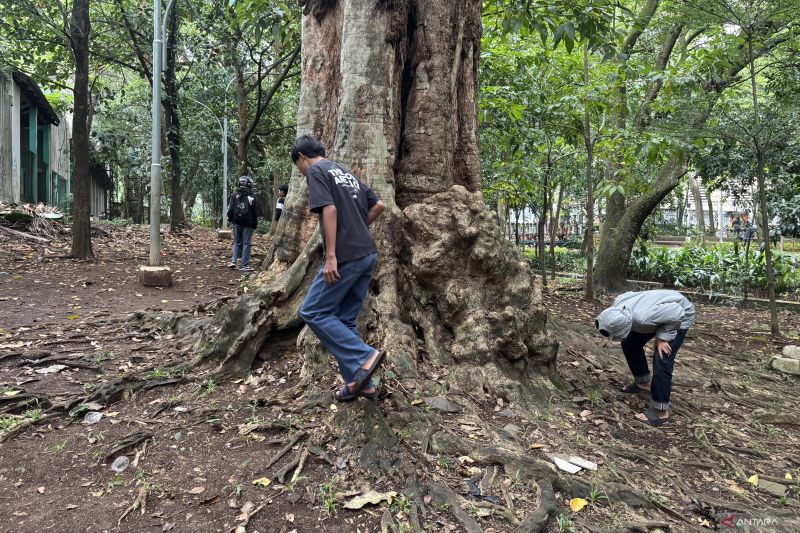 Pemkot Bandung minta para pencari koin tak merusak fasilitas taman