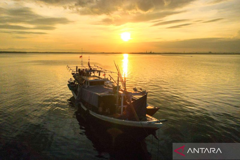 Potret aktivitas di Teluk Kendari