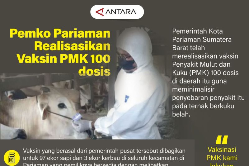Pemko Pariaman realisasikan vaksin PMK 100 dosis