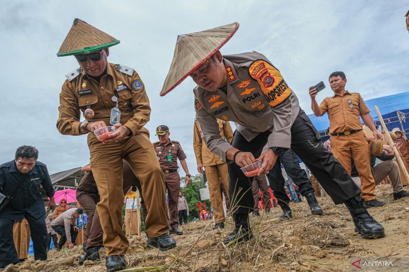 Penanaman jagung serentak di Kendari