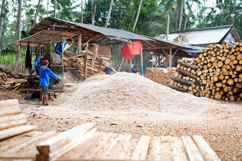 Kejar target tiga juta ton biomassa, PLN EPI kerja sama dengan Pemkab Indramayu