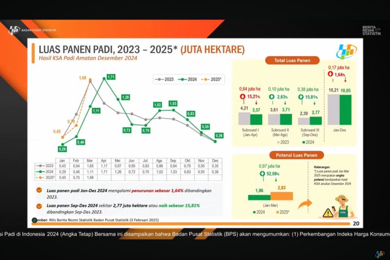BPS catat luas panen padi alami penurunan di sepanjang 2024