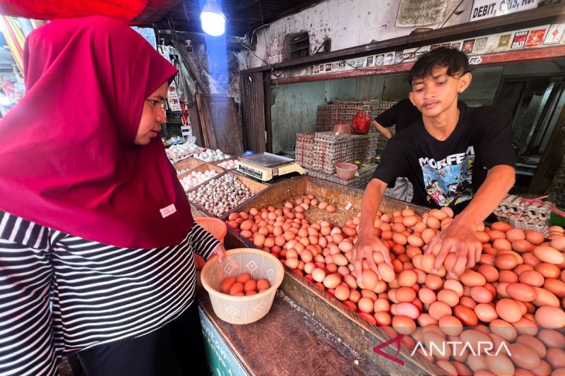 Harga pangan Kamis: Telur ayam Rp30.000/kg