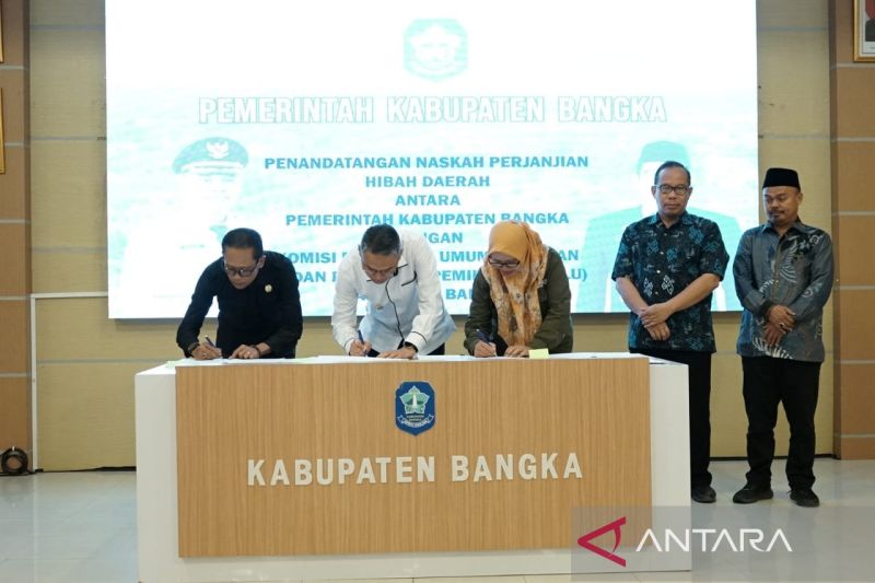 Belajar dari fenomena kemenangan kotak kosong Pilkada Serentak 2024