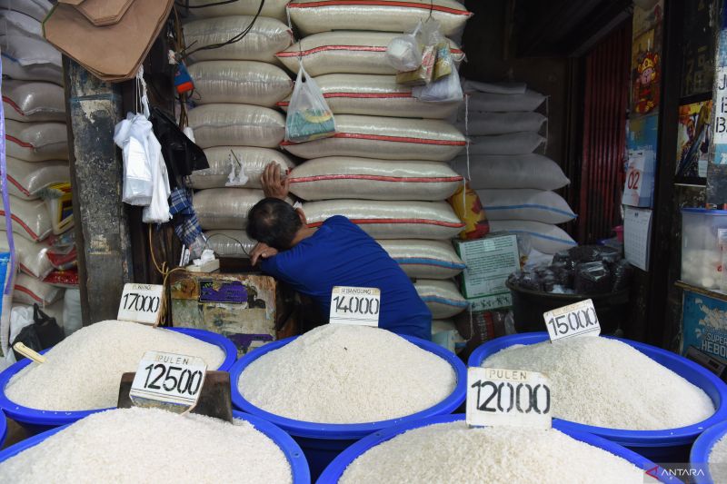 Harga beras Februari 2025 di penggilingan turun 10,44 persen