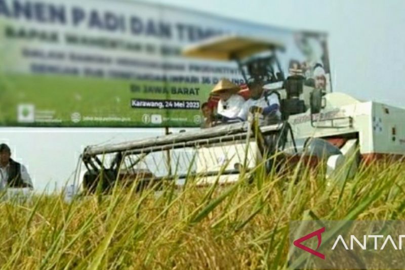 Petani Karawang diminta lakukan tiga kali tanam setahun