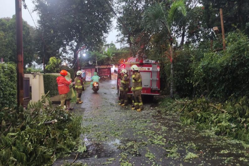 Hujan Deras di Kota Bandung: Banjir dan Pohon Tumbang di sejumlah titik, berikut daerahnya!