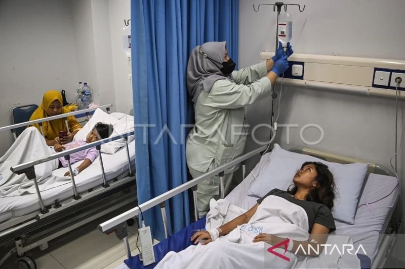 Waspadai gejala awal demam berdarah dengue