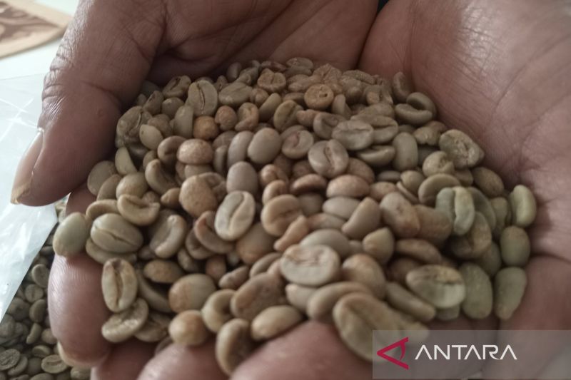 Pemkab percepat pendaftaran IG kopi arabika Kuningan dan Majalengka