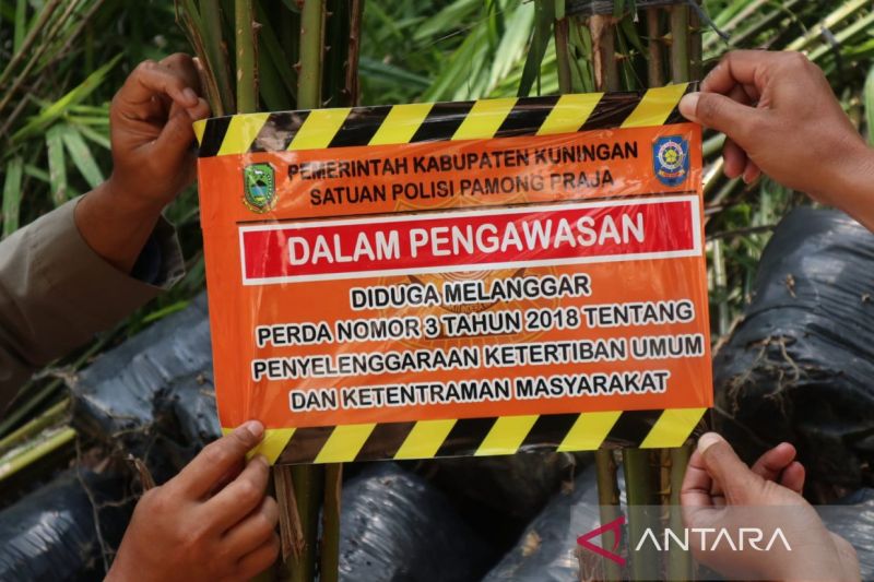 Bupati Kuningan melarang penanaman kelapa sawit untuk jaga lingkungan