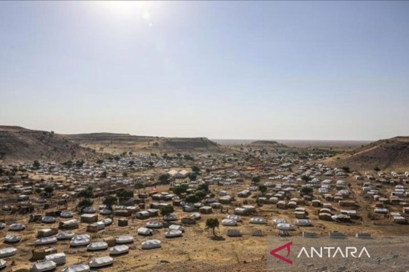 RSF serang kota di Sudan, 43 orang tewas