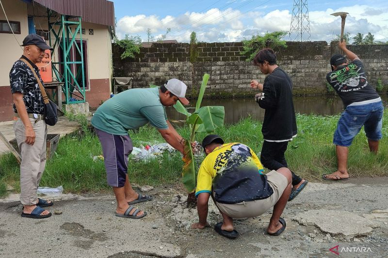Warga Karya Mufakat tanam pohon pisang sebagai aksi protes jalan rusak