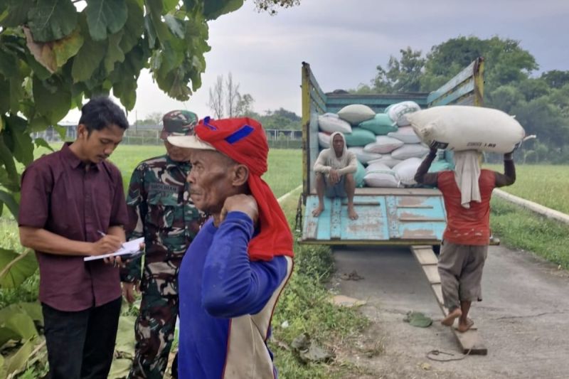 Bulog pastikan penyerapan gabah petani tetap berjalan meski libur Lebaran 2025