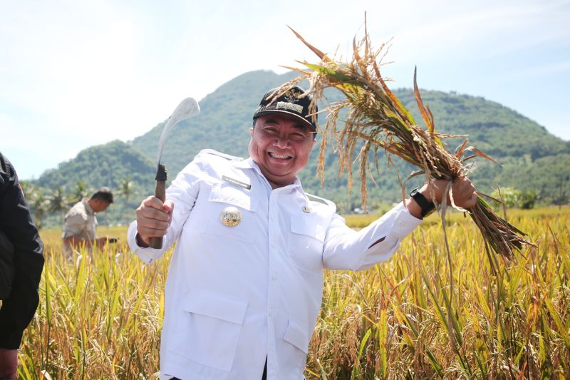 Bupati Garut: Panen raya bentuk pemerintah jamin kedaulatan pangan