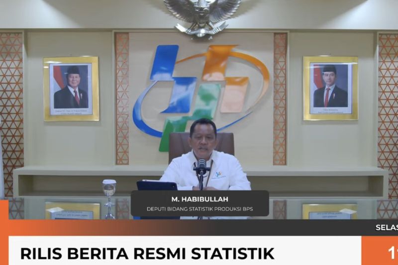 BPS: Luas panen jagung naik 114,17 persen pada Februari 2025