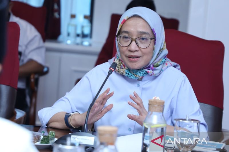 Terungkap alasan 714 CPNS Kemendikti Saintek mengundurkan diri