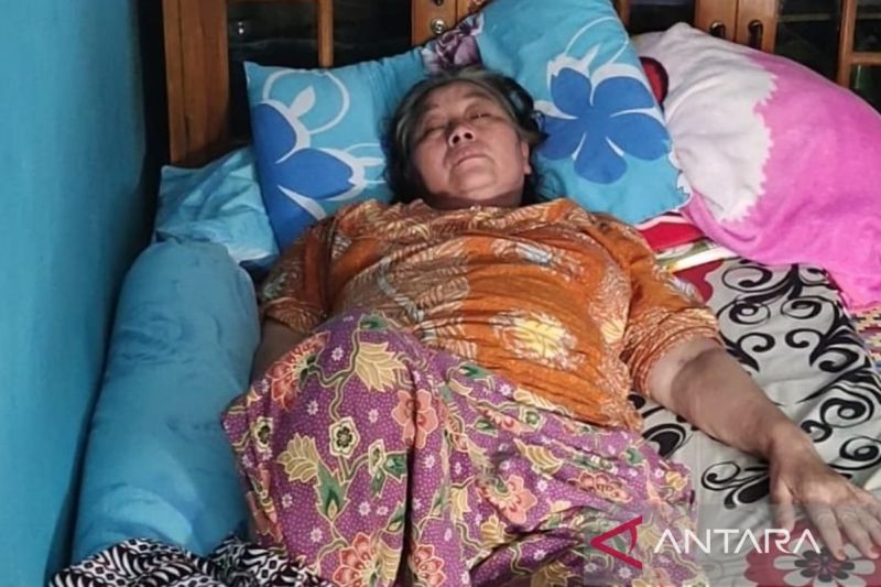 Chikungunya serang 43 warga Cianjur