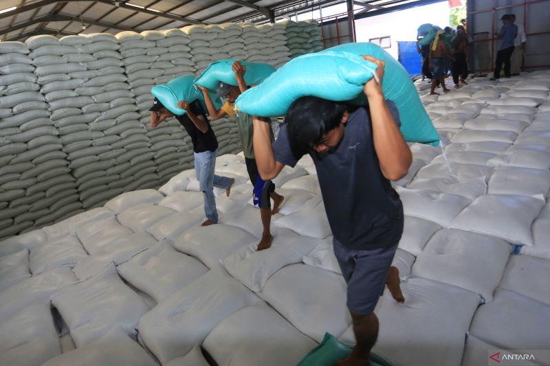 BPS: Harga beras premium turun jadi Rp13.047 April 2025