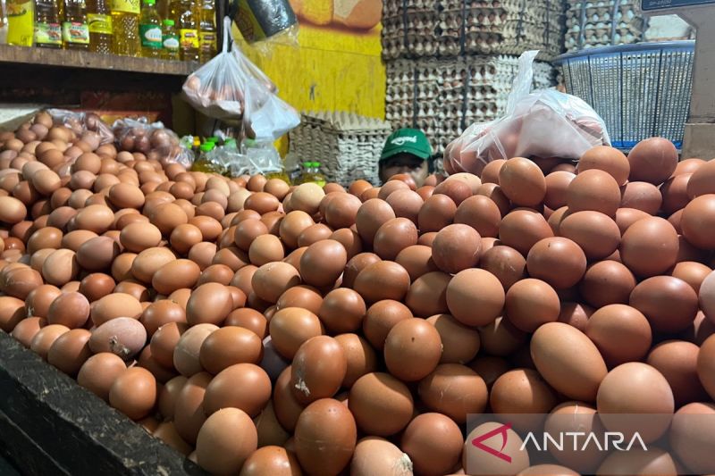 Harga pangan hari ini, cabai rawit merah Rp81.404/kg, telur ayam ras Rp29.082/kg