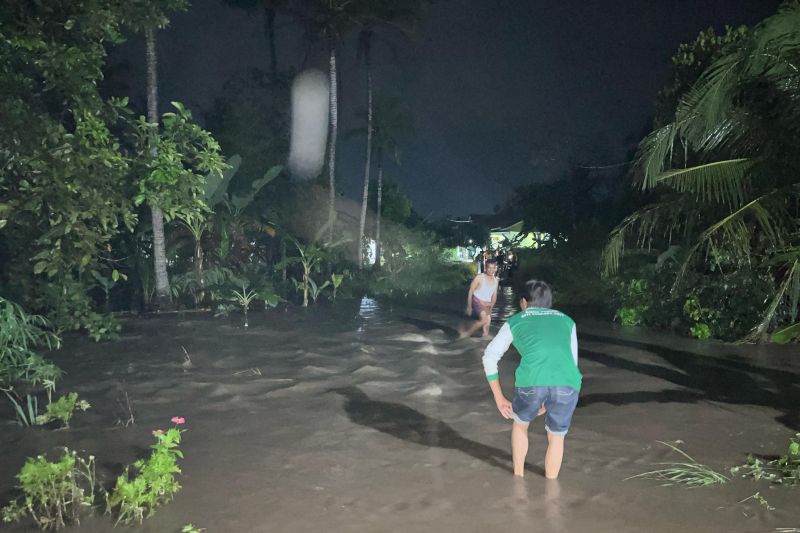 Sejumlah rumah di Lampung Selatan terendam banjir akibat hujan deras