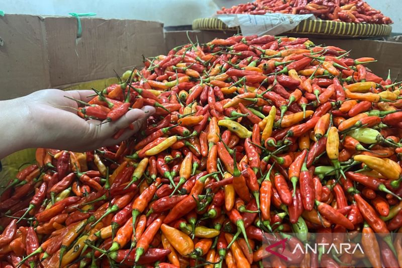 Harga pangan hari ini: Bawang merah Rp43.148/kg, cabai rawit merah Rp80.379/kg