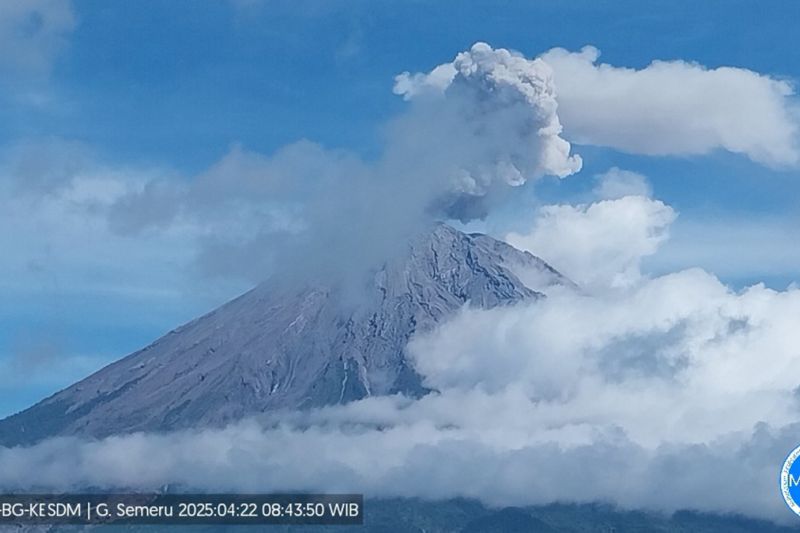 Gunung Semeru hari ini erupsi empat kali dengan tinggi letusan 800 meter