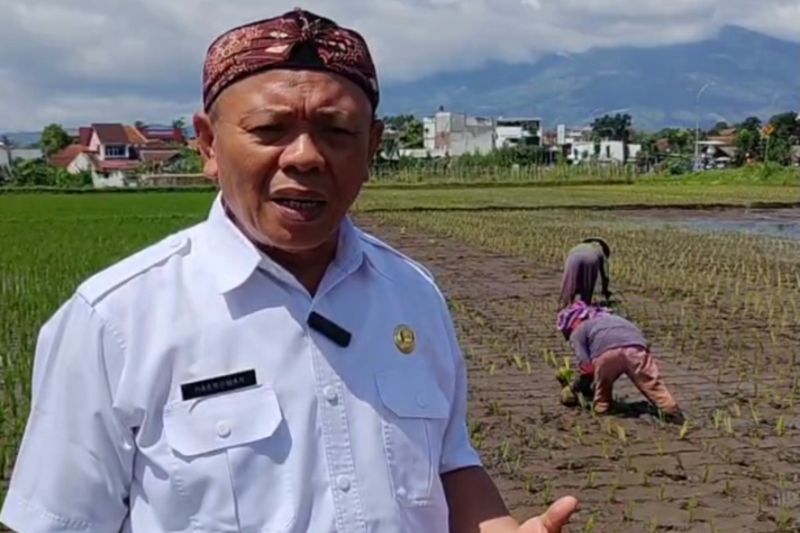 Pemkab Garut menggelar gerakan tanam padi jaga swasembada pangan