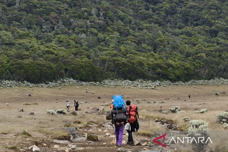 Pendakian Gunung Gede Pangrango dibuka kembali