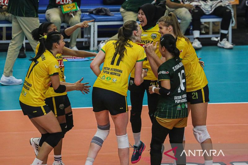 Hasil Final Four Proliga hari ini: Tim pelatih PLN akui strategi tak berjalan saat dikalahkan Petrokimia