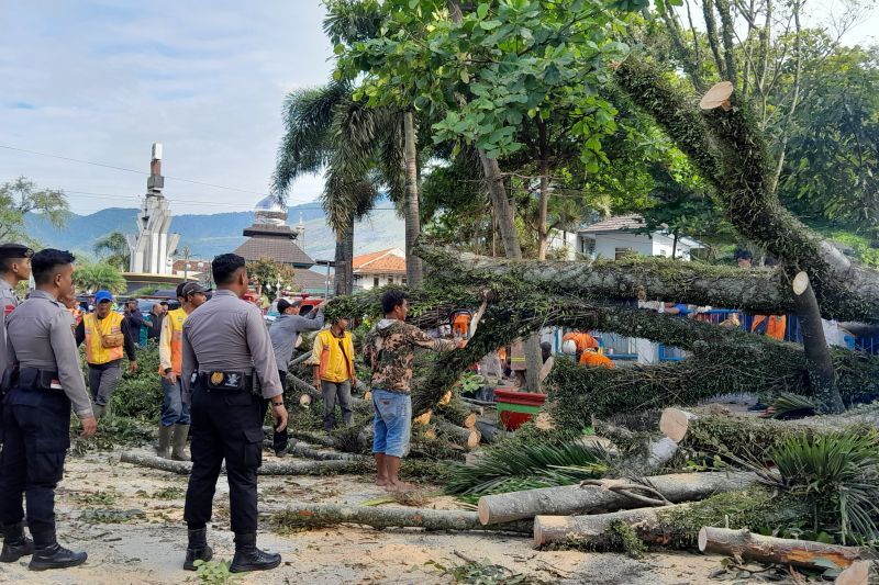 Tak ada angin dan hujan, brukkk...pohon tumbang timpa 3 motor di Tarogong Garut