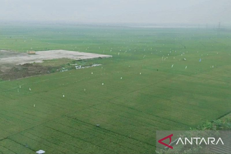 Wamentan apresiasi Karawang jaga areal sawah dari alih fungsi