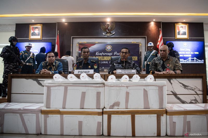Lanal Palembang gagalkan penyelundupan benih lobster