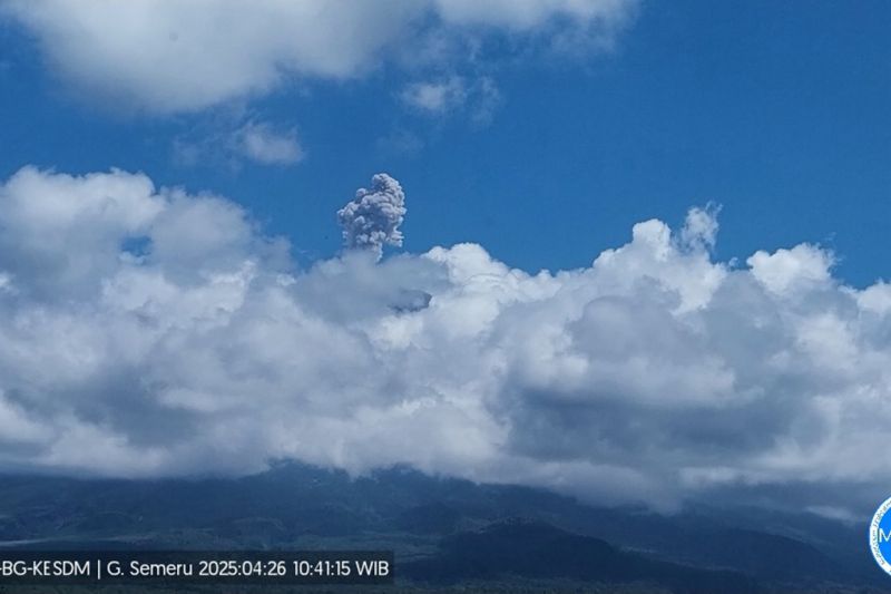 Gunung Semeru hari ini enam kali erupsi dengan tinggi letusan hingga 800 meter