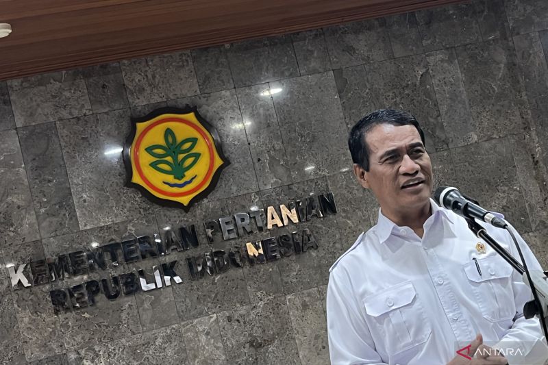 Mentan memprediksi produksi beras nasional April 2025 capai 1 juta ton