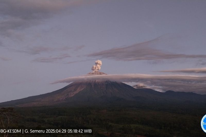 Gunung Semeru hari ini erupsi dengan letusan setinggi 900 meter di atas puncak