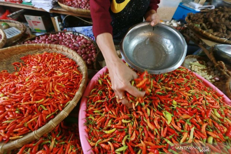 Harga pangan hari ini, daging ayam Rp35.331/kg, cabai rawit Rp59.395/kg