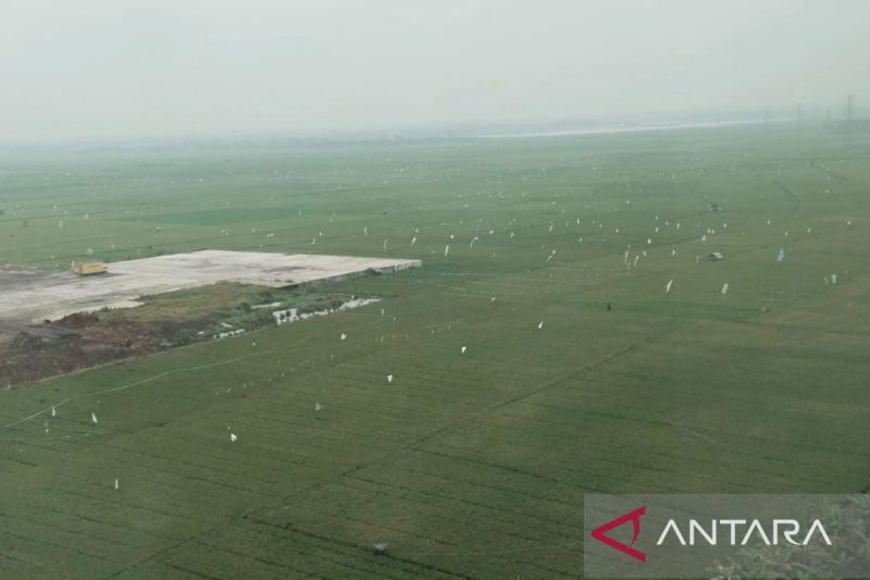 Anggota DPR mengkhawatirkan berkurangnya lahan sawah dan hutan Karawang