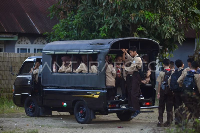 Transportasi cigak baruak di Pesisir Selatan