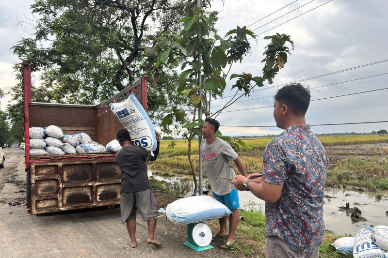 Bulog Jabar: Cirebon menjadi penyumbang serapan beras terbesar nasional
