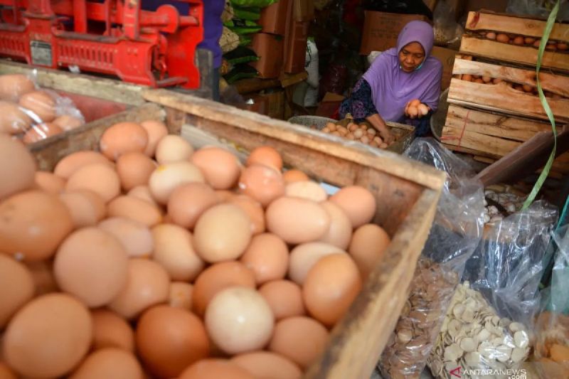 Daftar harga pangan hari ini: Telur ayam Rp28.933/kg, bawang merah Rp37.407/kg
