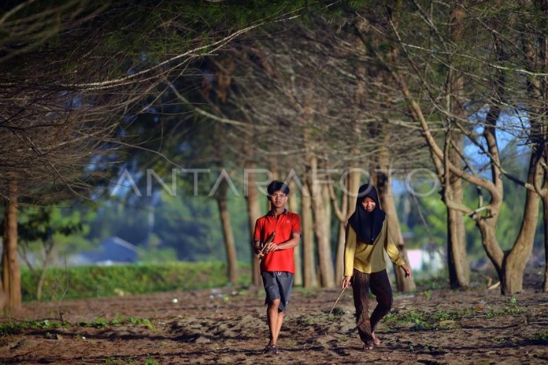 Kawasan sabuk hijau pantai di Padang
