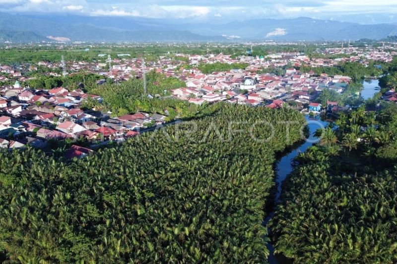 Kawasan sabuk hijau pantai di Padang