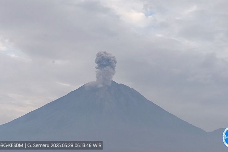 Gunung Semeru hari ini kembali erupsi dengan letusan setinggi 1.200 meter