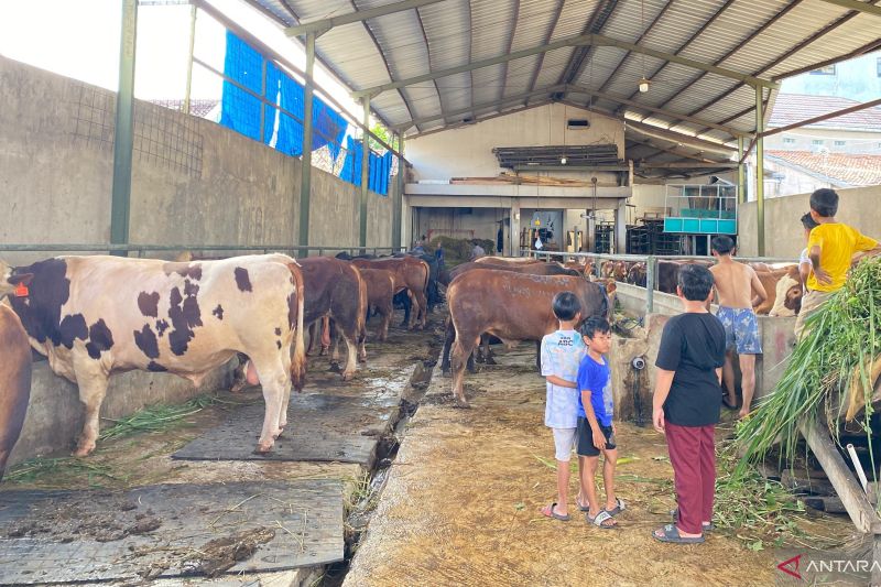 DPKHP Cianjur memastikan 5.501 hewan kurban sehat dan layak potong