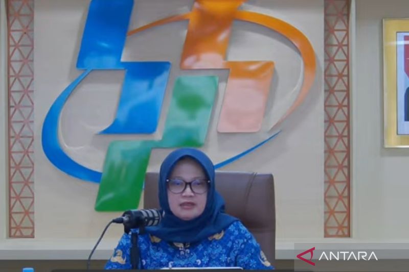 BPS memperkirakan produksi beras Mei-Juli 2025 mencapai 7,75 juta ton
