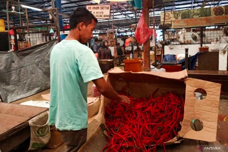 Harga pangan hari ini: Cabai rawit Rp48.457/kg, bawang merah Rp38.525/kg
