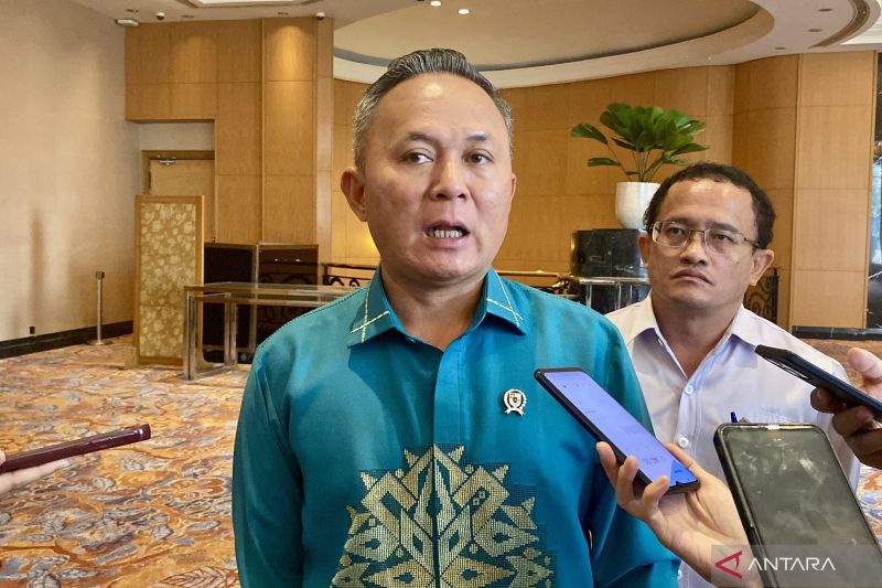 Wamen HAM tegaskan penanganan karhutla harus lindungi masyarakat